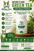 Green Tea with Spore Probiotic | Antioxidant, Metabolism & Everyday Wellness
