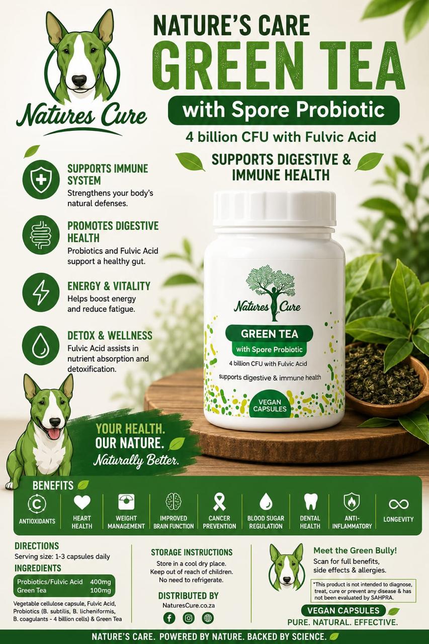 Green Tea with Spore Probiotic | Antioxidant, Metabolism & Everyday Wellness