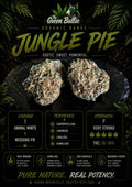 Jungle Pie (Hybrid)GBO AA+