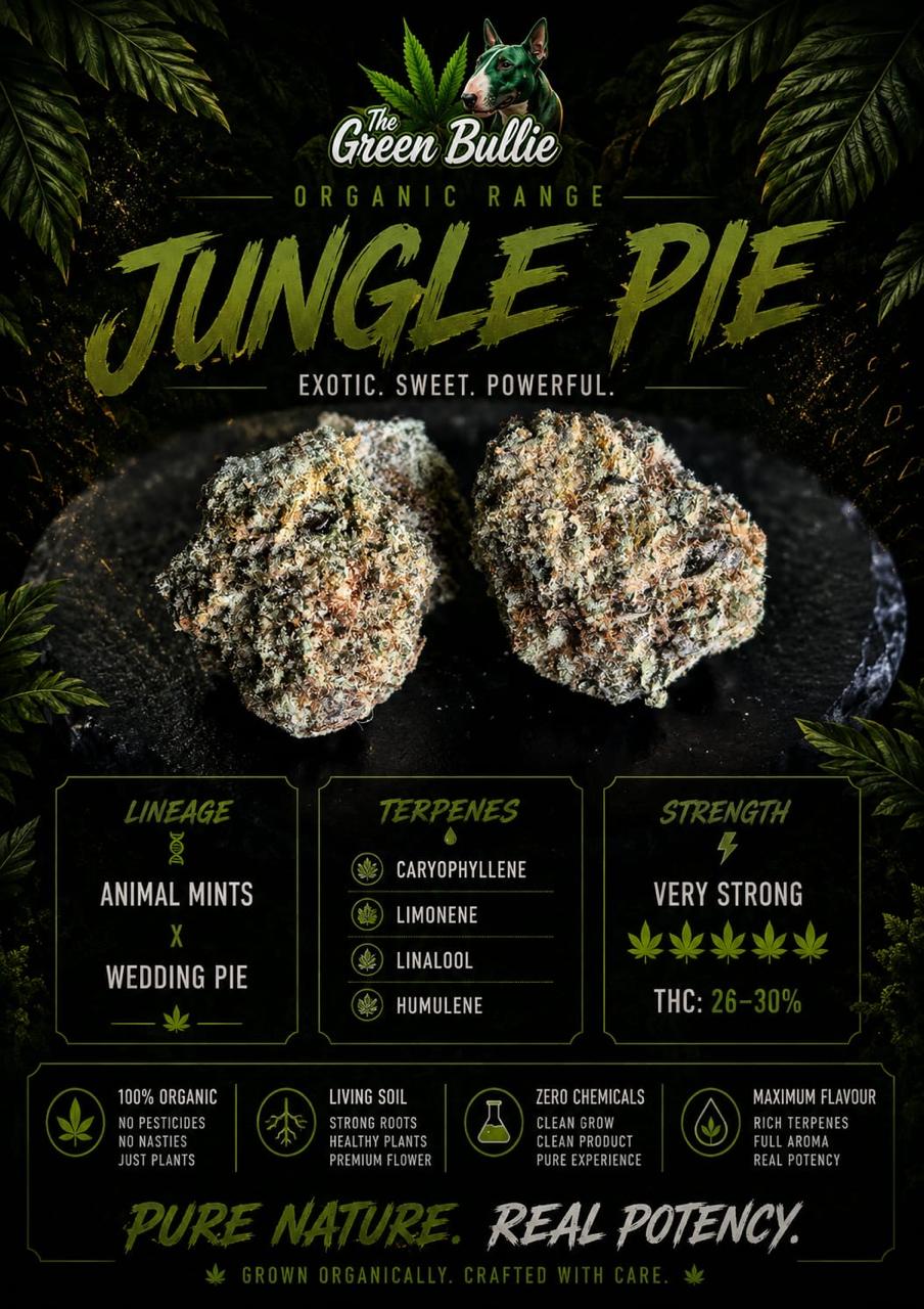 Jungle Pie (Hybrid)GBO AA+