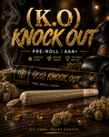 (K.0)Knock Out — Pre-Roll | AAA+