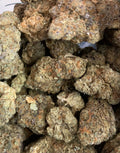 Lilac Diesel — Hybrid | Indoor AAA+