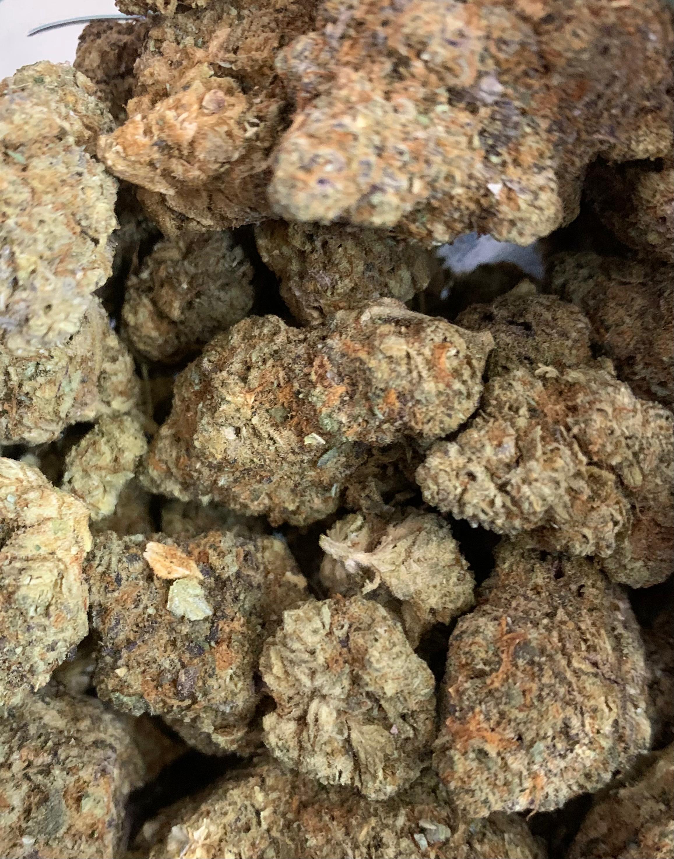 Lilac Diesel — Hybrid | Indoor AAA+