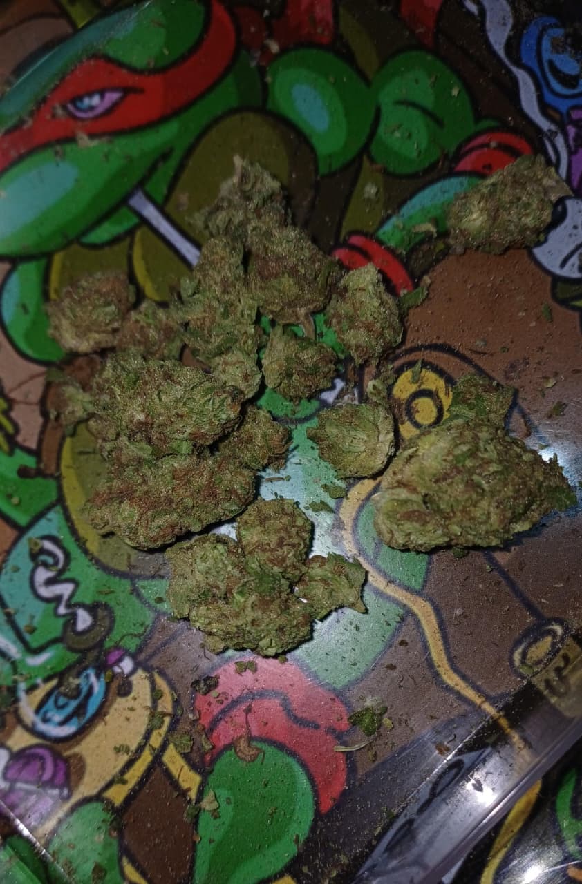 Mob Boss II Hybrid II Thc 20%