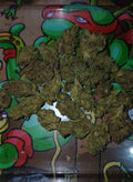 Mandarin Zkittles — Hybrid II THC 19%