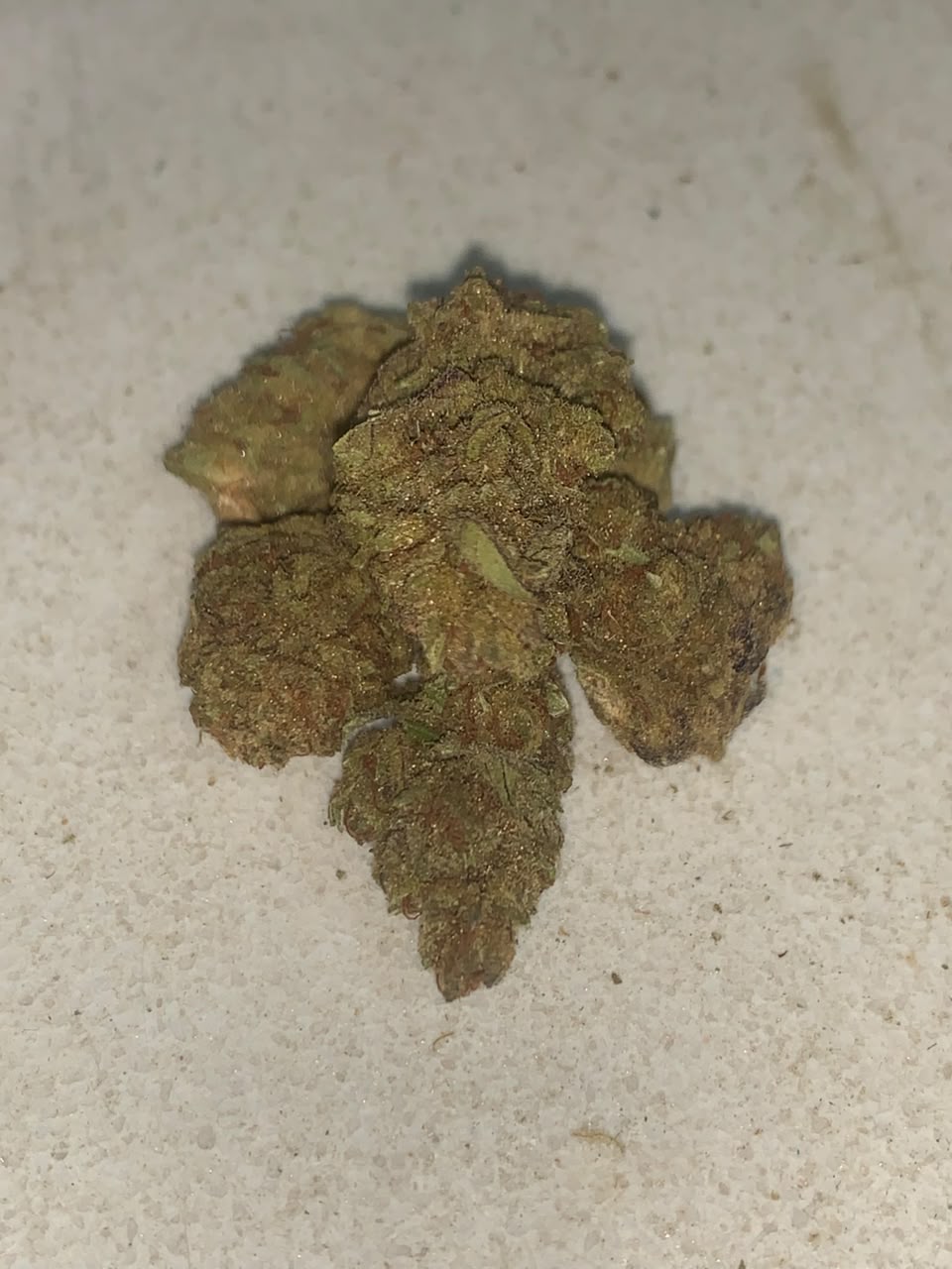 Mandarin Skittlez | Premium Greendoor+ Flower