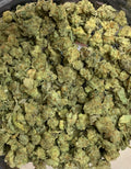 Mango Madness — Hybrid | Indoor Pops
