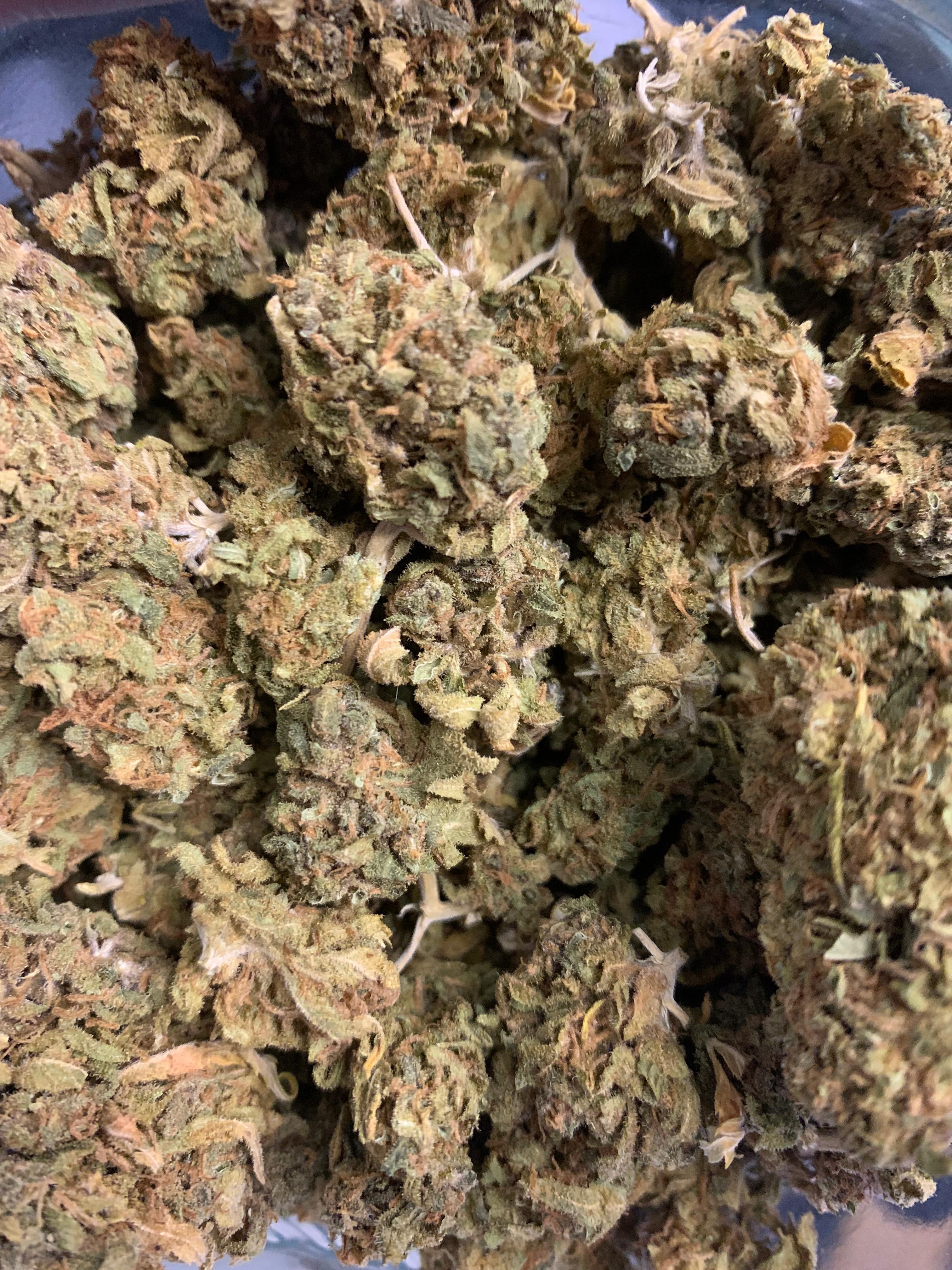 Mobi Dick — Hybrid | Greendoor/House A+ Blend