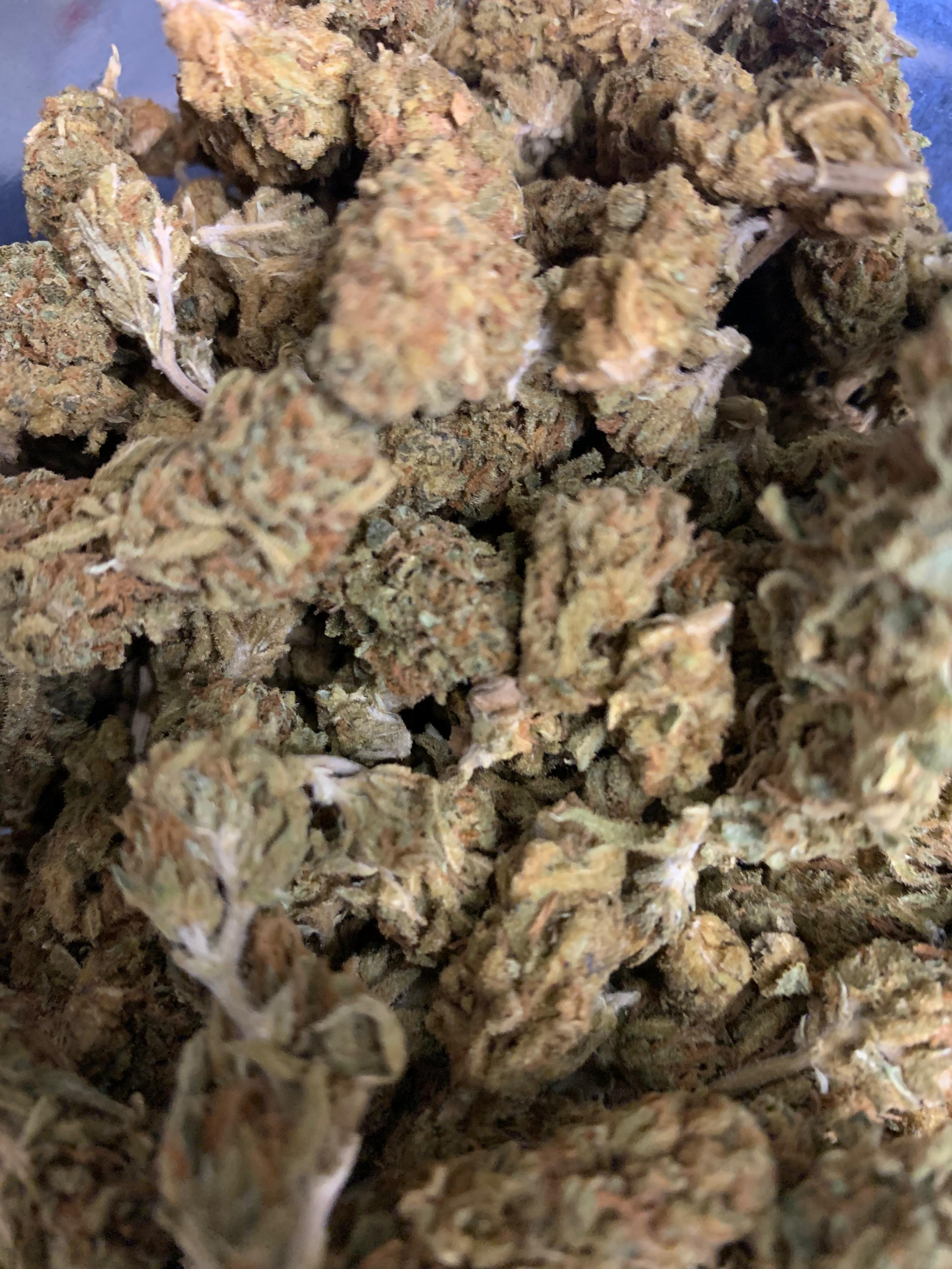 Pancake — Hybrid | Greendoor/House A+ Blend