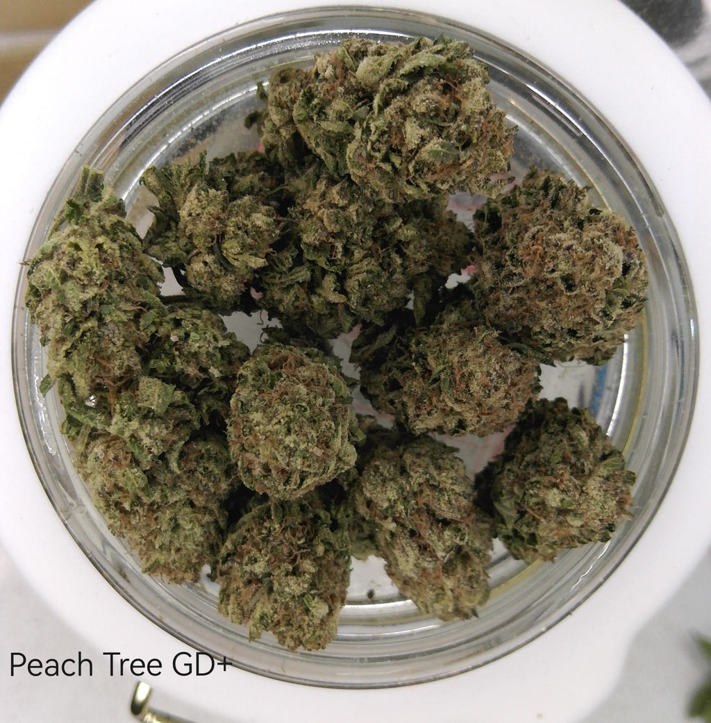 Peach Tree GD+ | GreenDoor+ Flower
