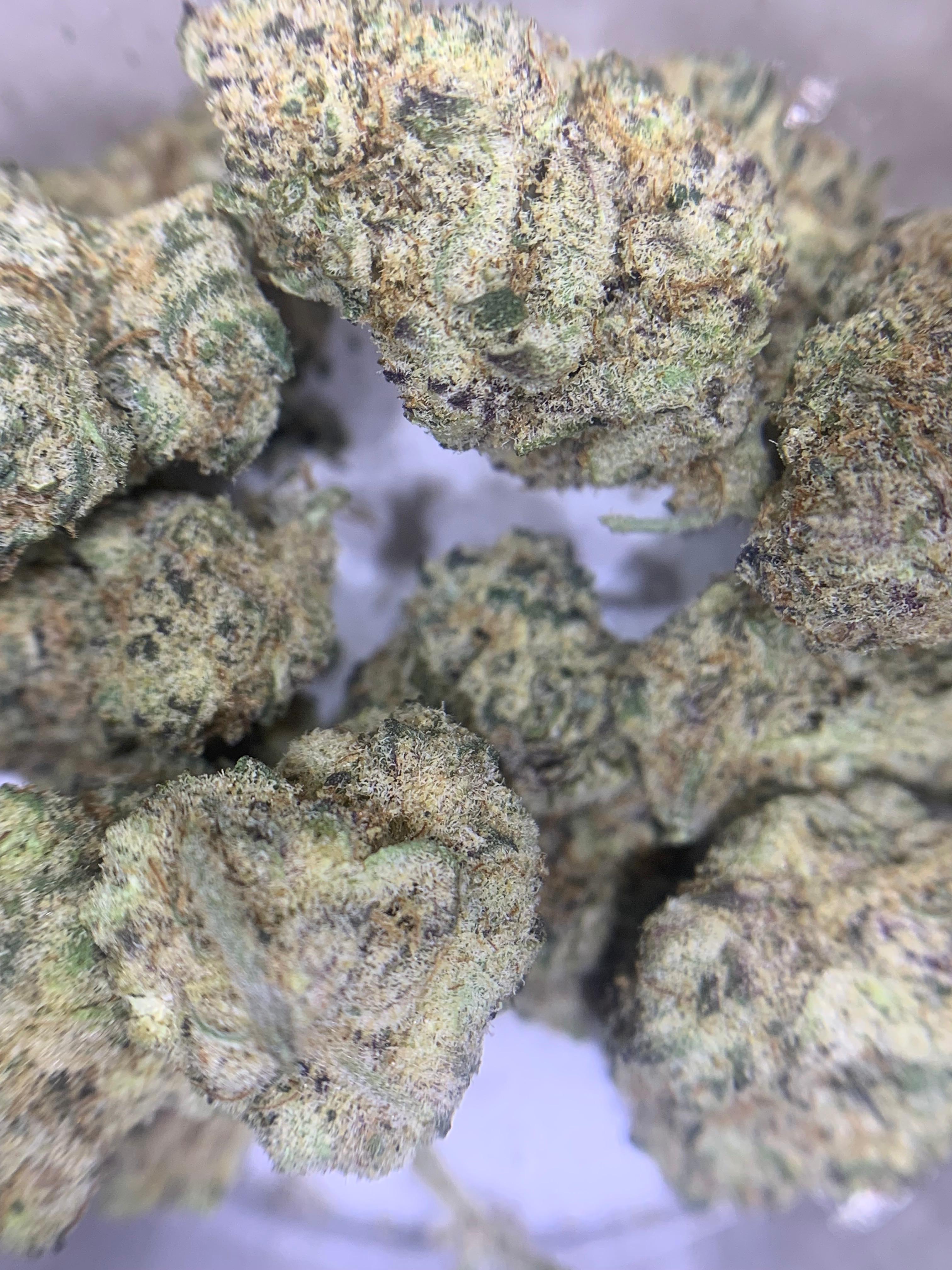 Peanut Butter Jelly Tots — Hybrid | Indoor Pops AAA