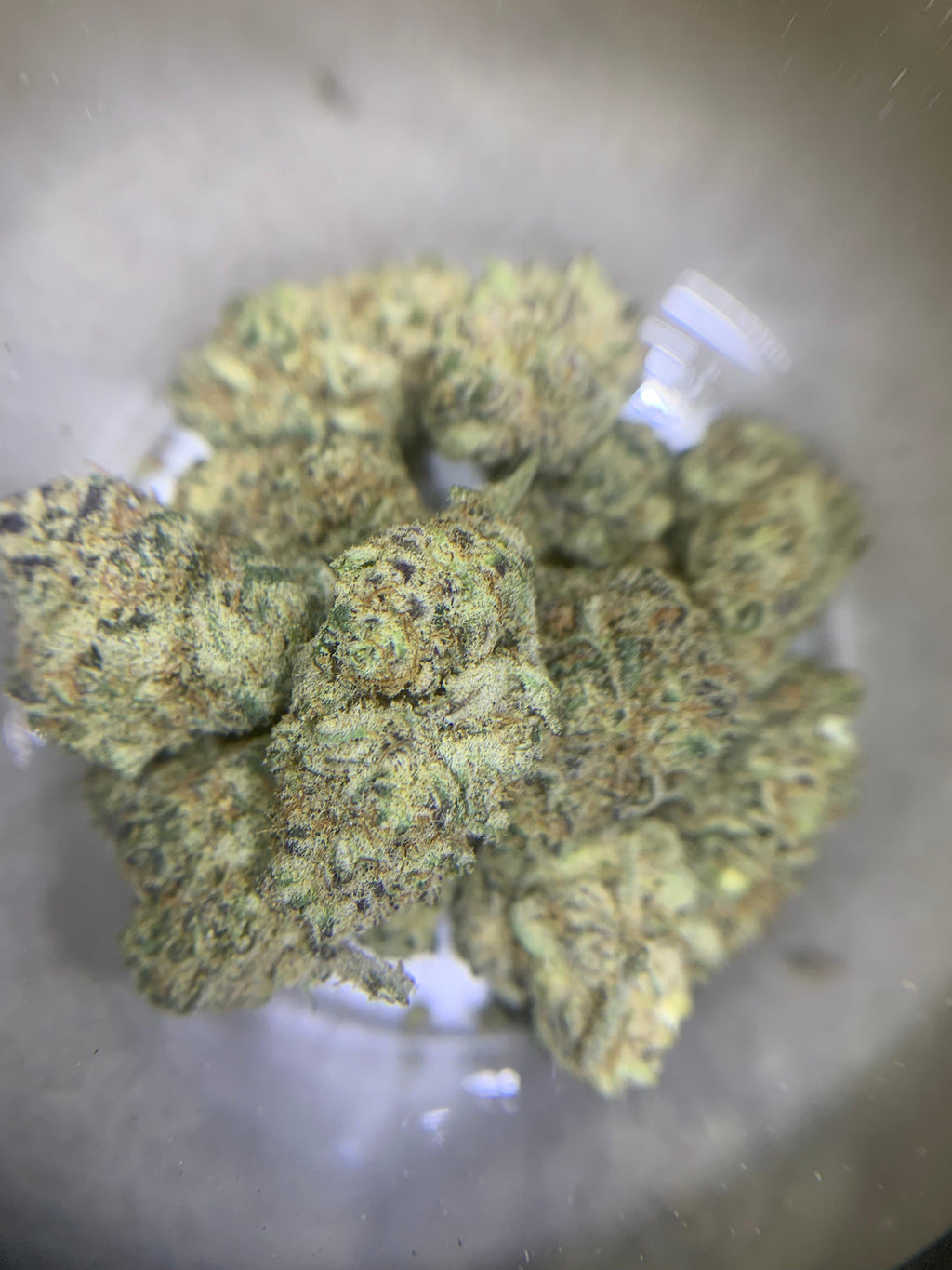 Peanut Butter Jelly Tots — Hybrid | Indoor Pops AAA