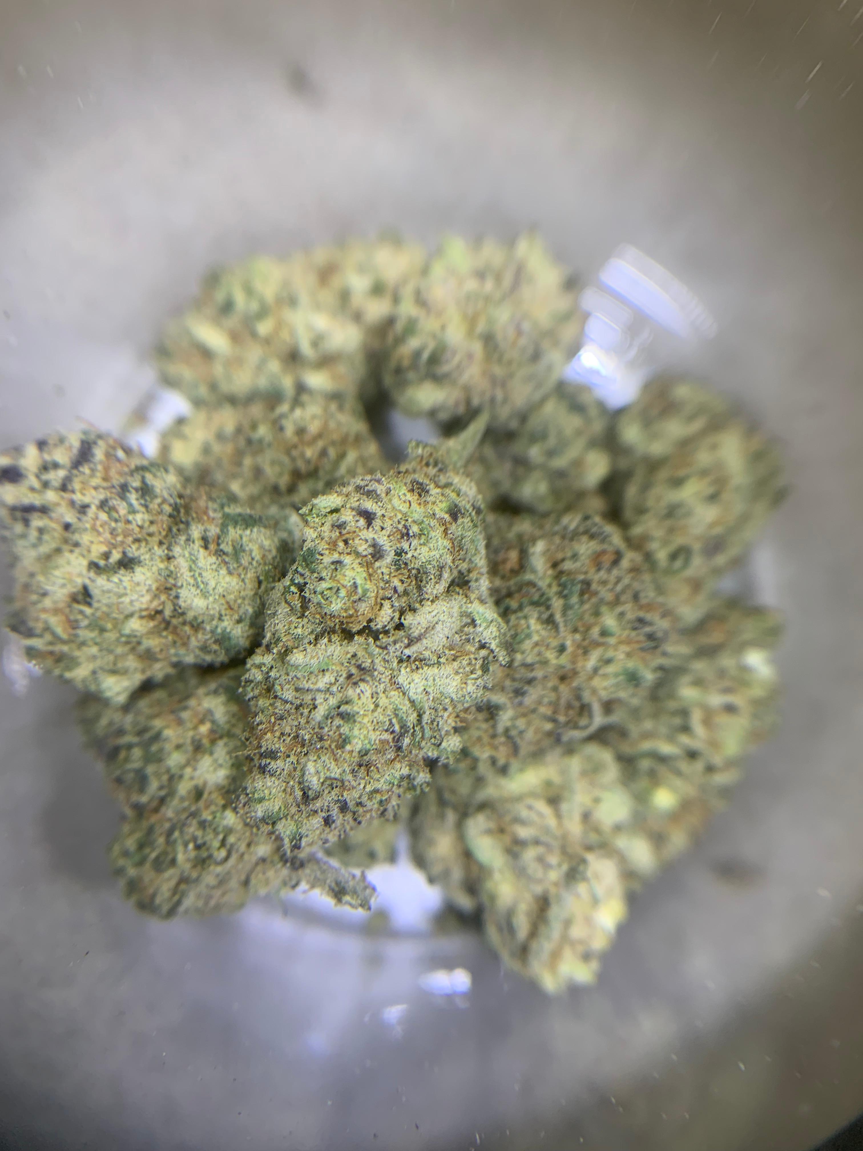 Peanut Butter Jelly Tots — Hybrid | Indoor Pops AAA