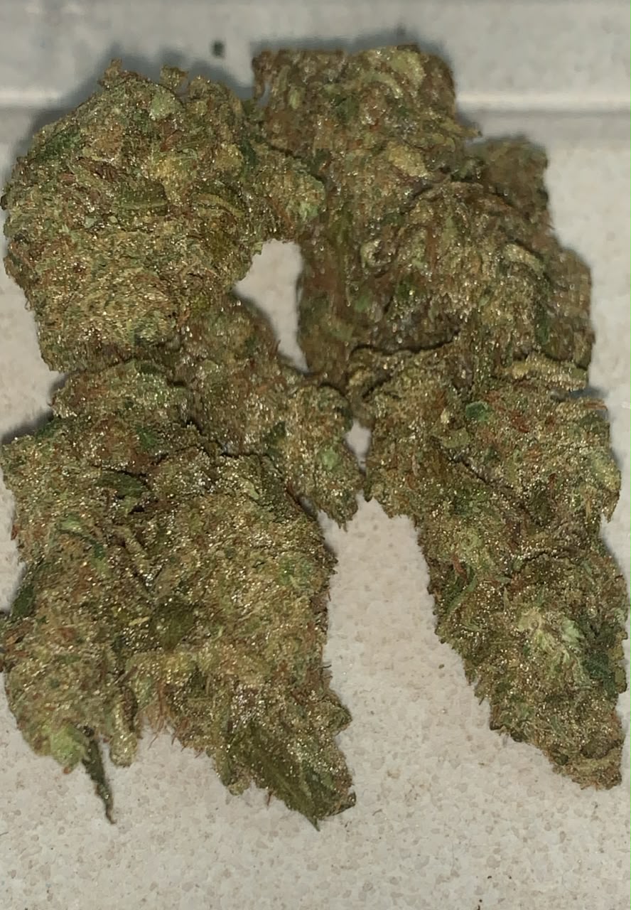 Pineapple Fanta | Premium Greendoor+ Flower