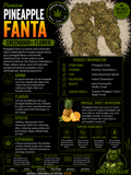 Pineapple Fanta | Premium Greendoor+ Flower