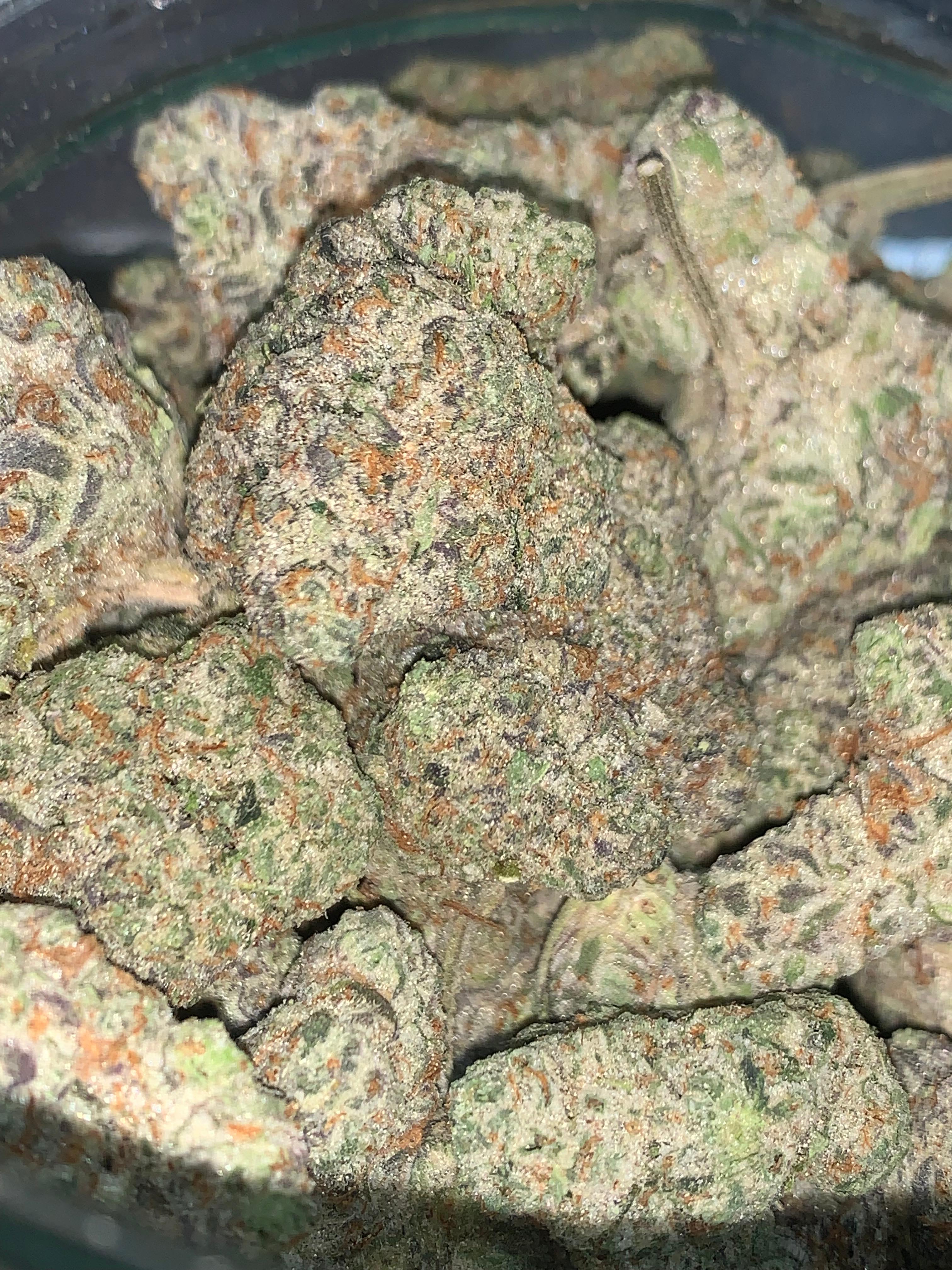 Platinum Zookies | Premium Hydroponic Flower