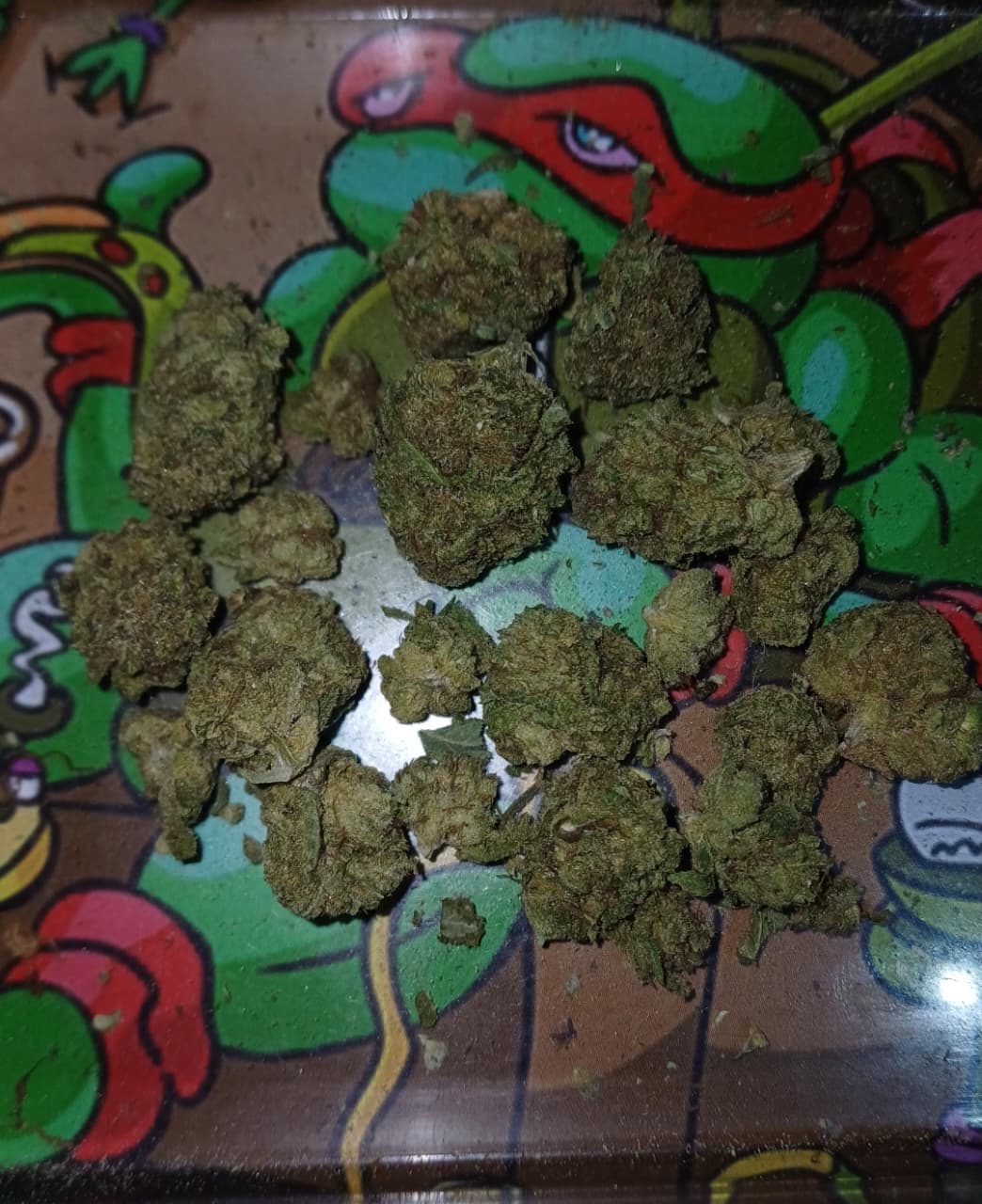 Purple Sunset — Indica II THC: 18%