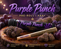 Purple Punch — Pre-Roll | AAA+