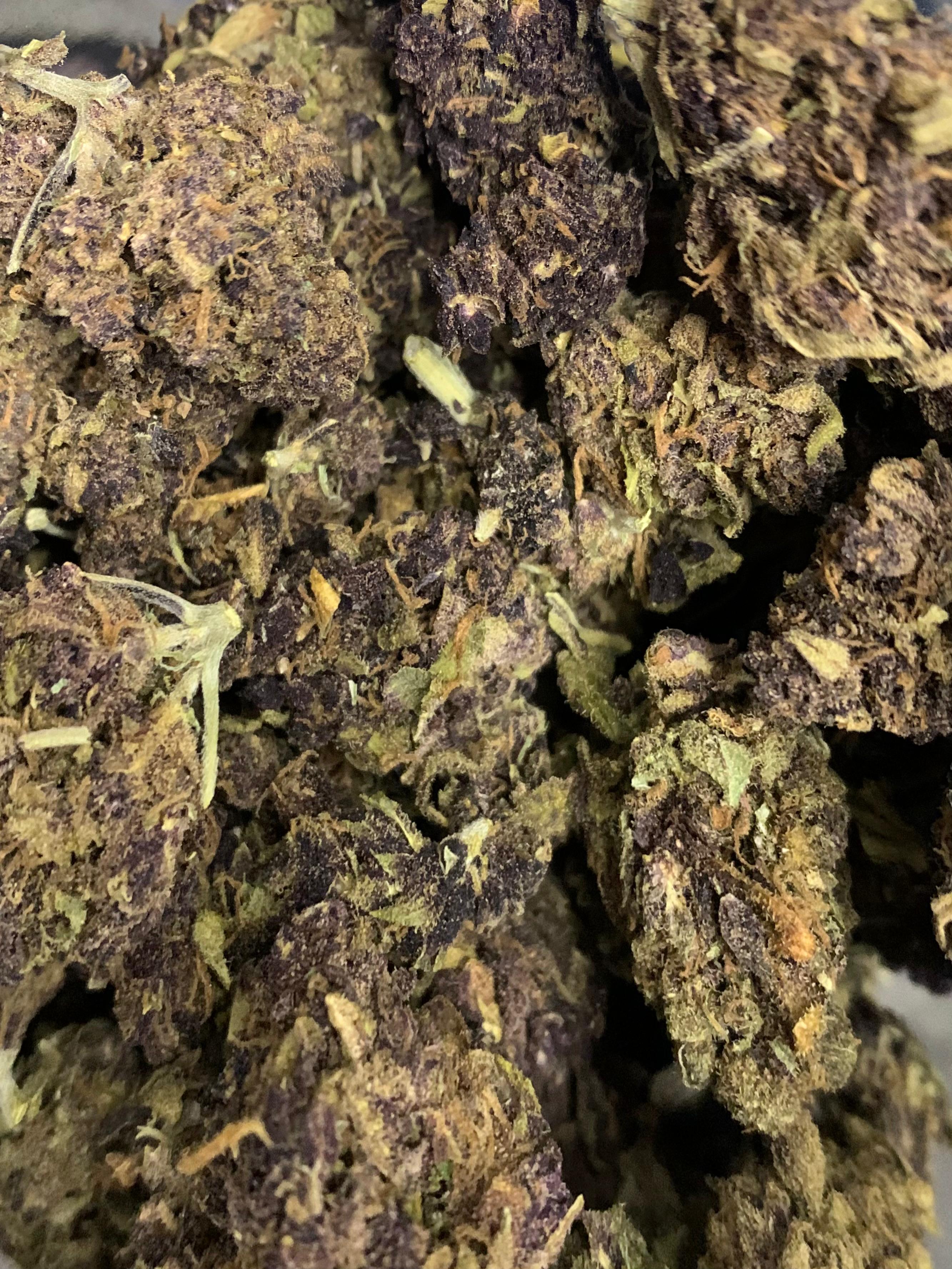 Ragnarok — Hybrid | Greendoor/House A+ Blend