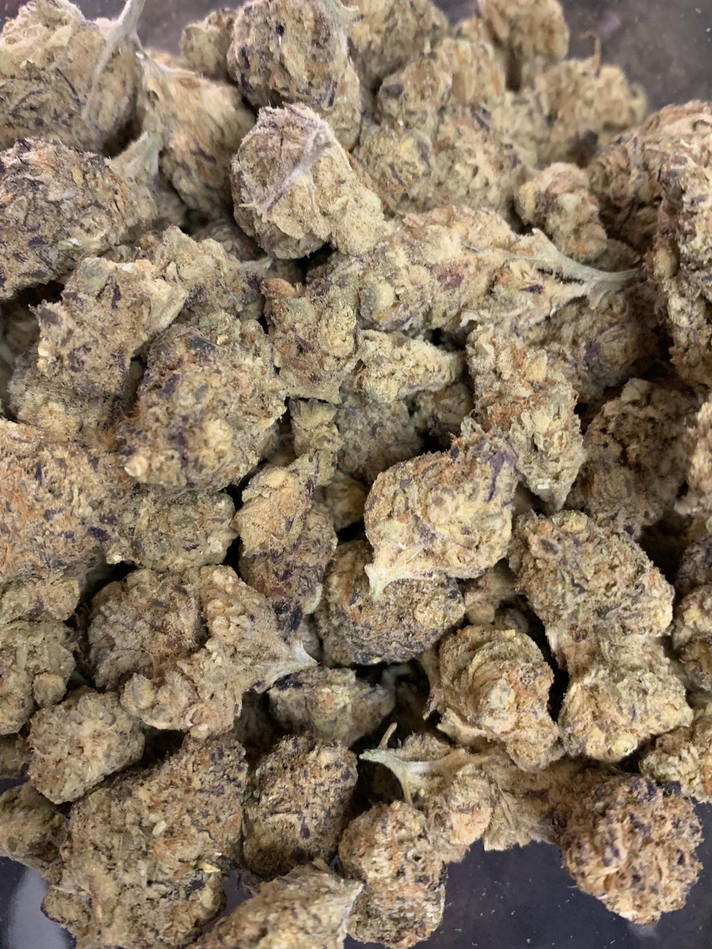 Royale Gorilla — Hybrid | Indoor AAA