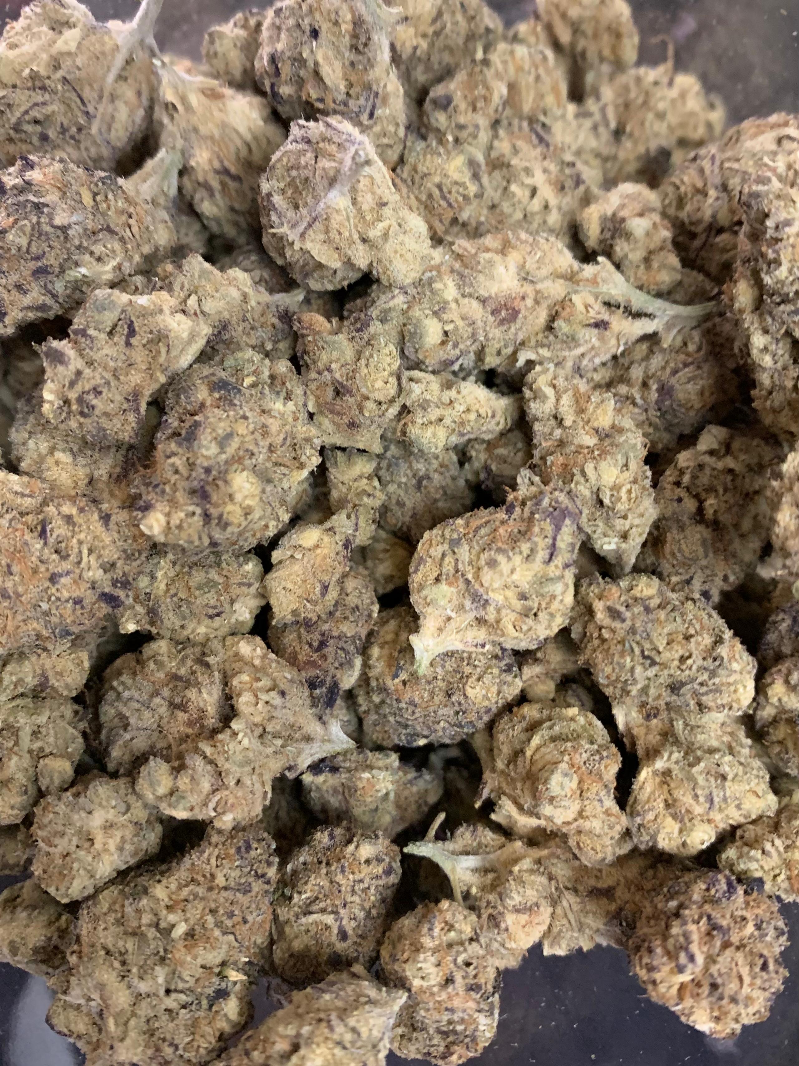 Royale Gorilla — Hybrid | Indoor AAA