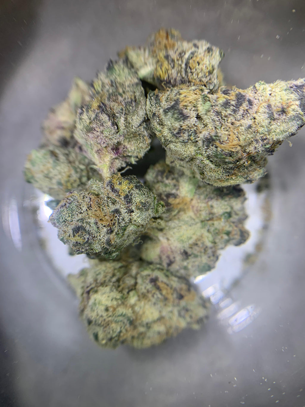 Shadow Cake — Hybrid | Indoor (A4) AAAA+
