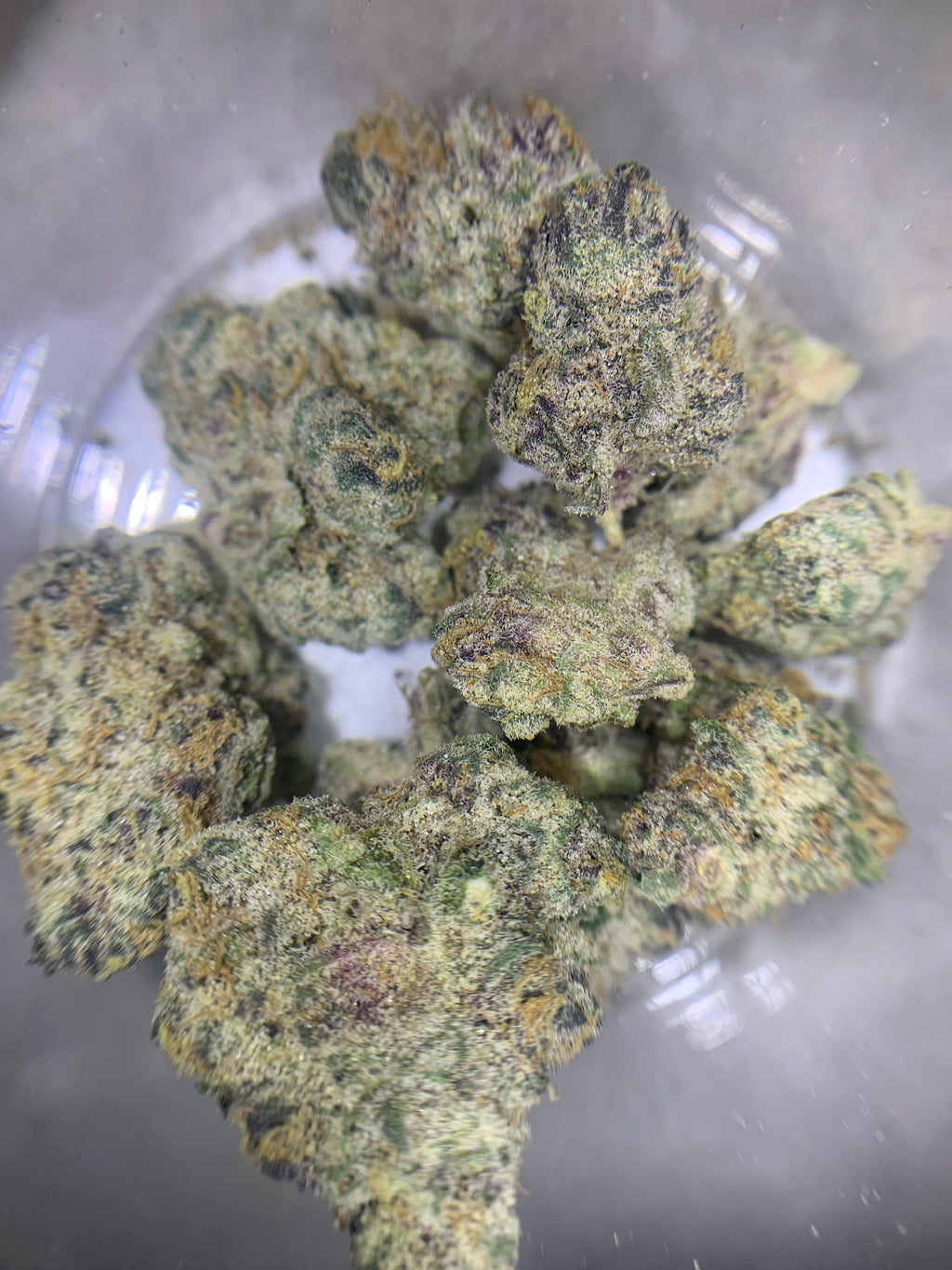 Shadow Cake — Hybrid | Indoor (A4) AAAA+