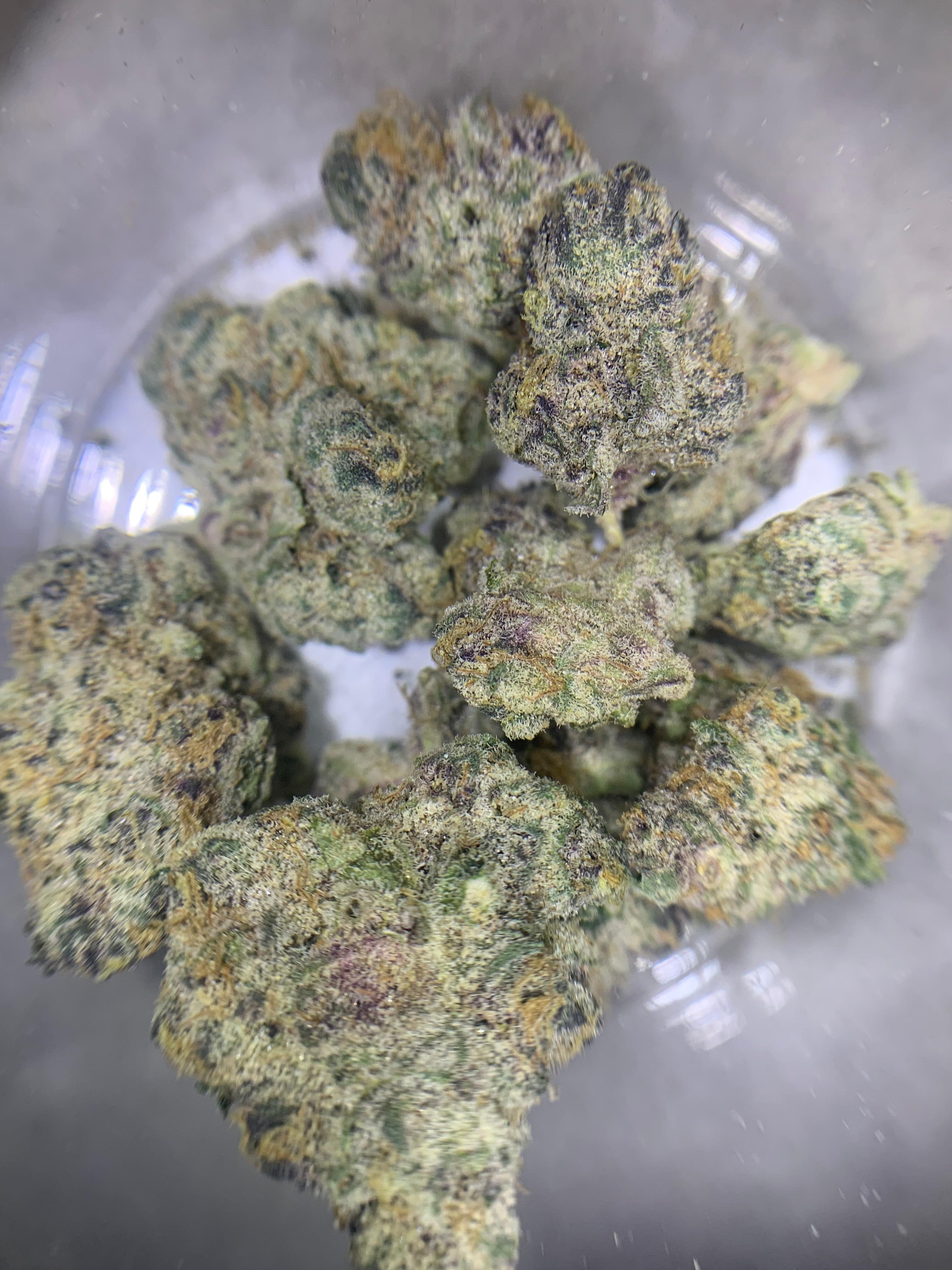 Shadow Cake — Hybrid | Indoor (A4) AAAA+