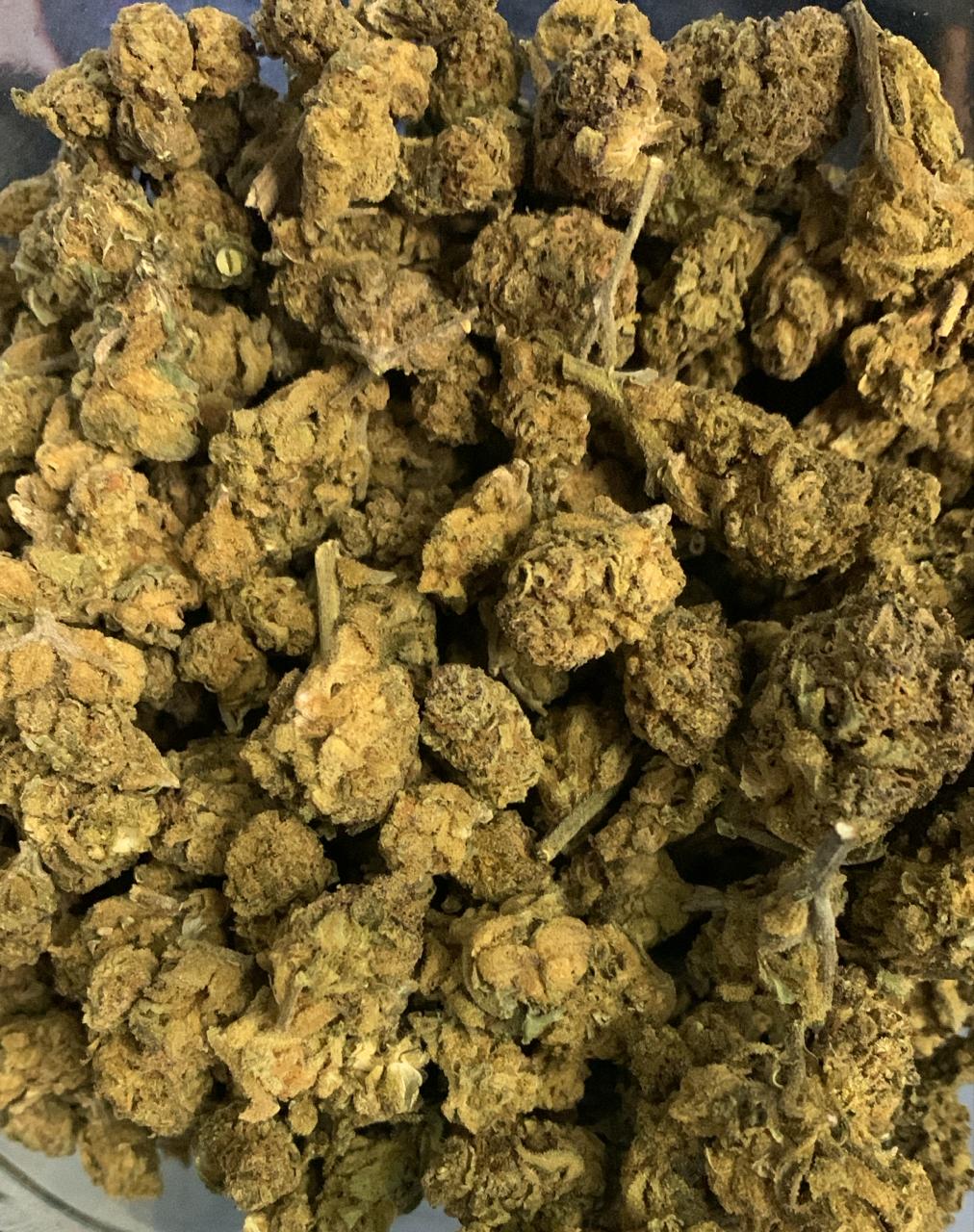 Slurricane — Hybrid | Greendoor/House Blend