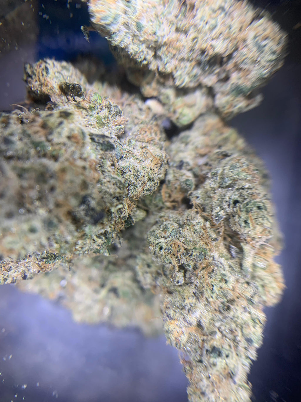 Stillknox — Hybrid | Indoor (A4) AAAA+
