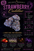 Strawberry Cadillac (Indica)AAA+