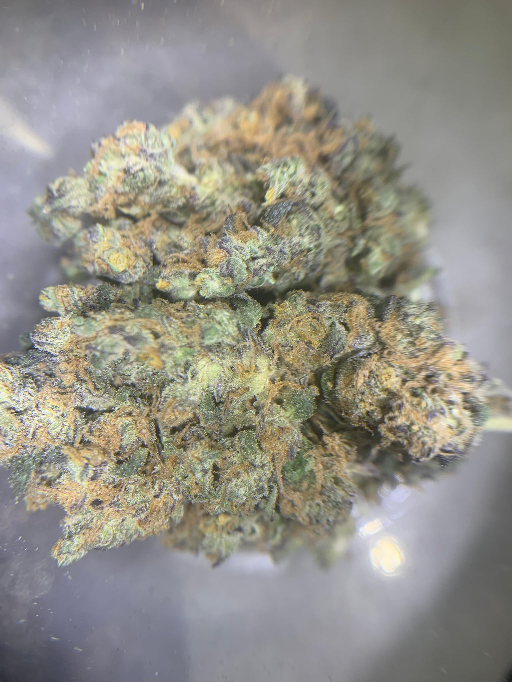 Strawberry Lemonade — Sativa THC: 20%