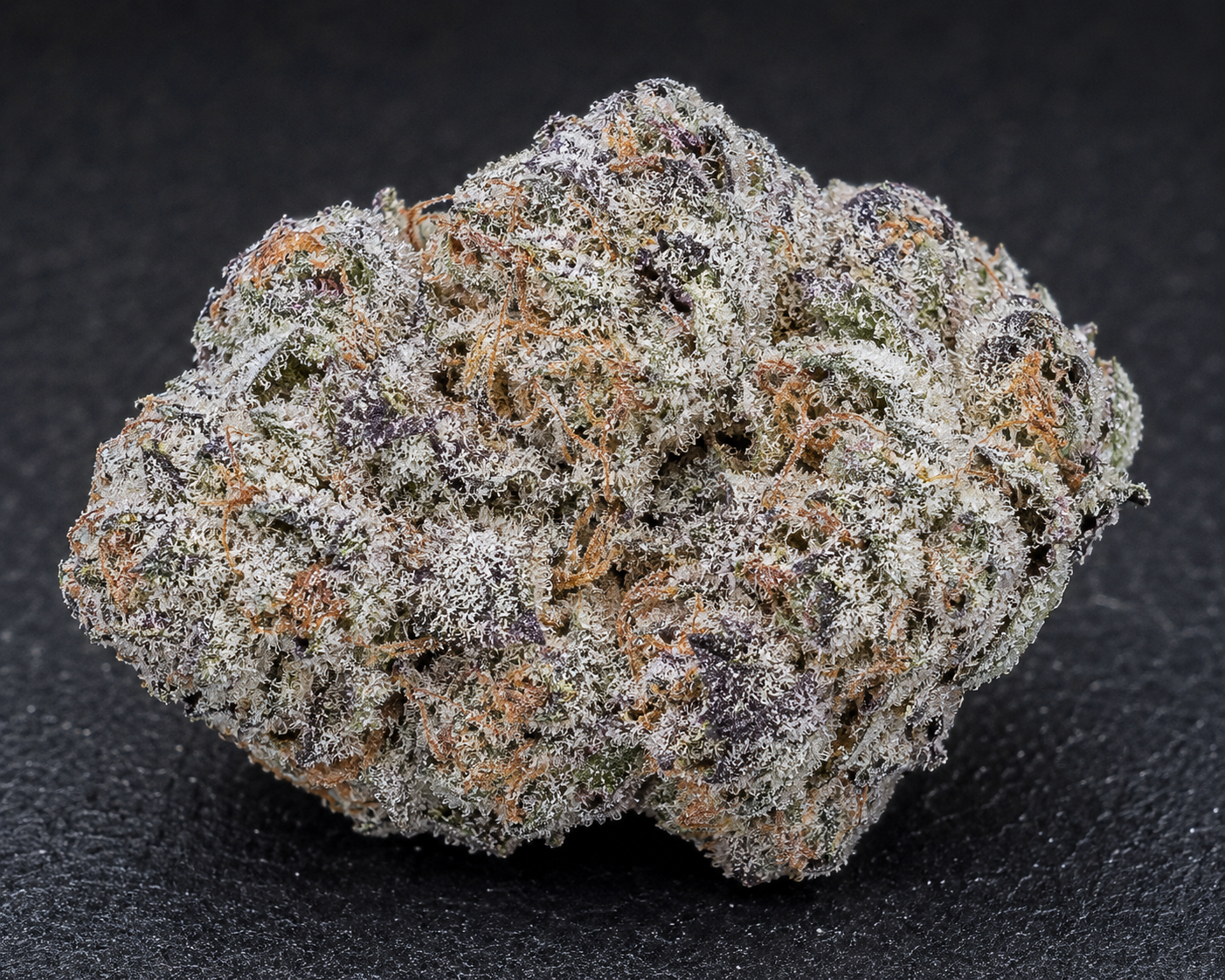 Sub Zero Indica(Indoor AAA+)