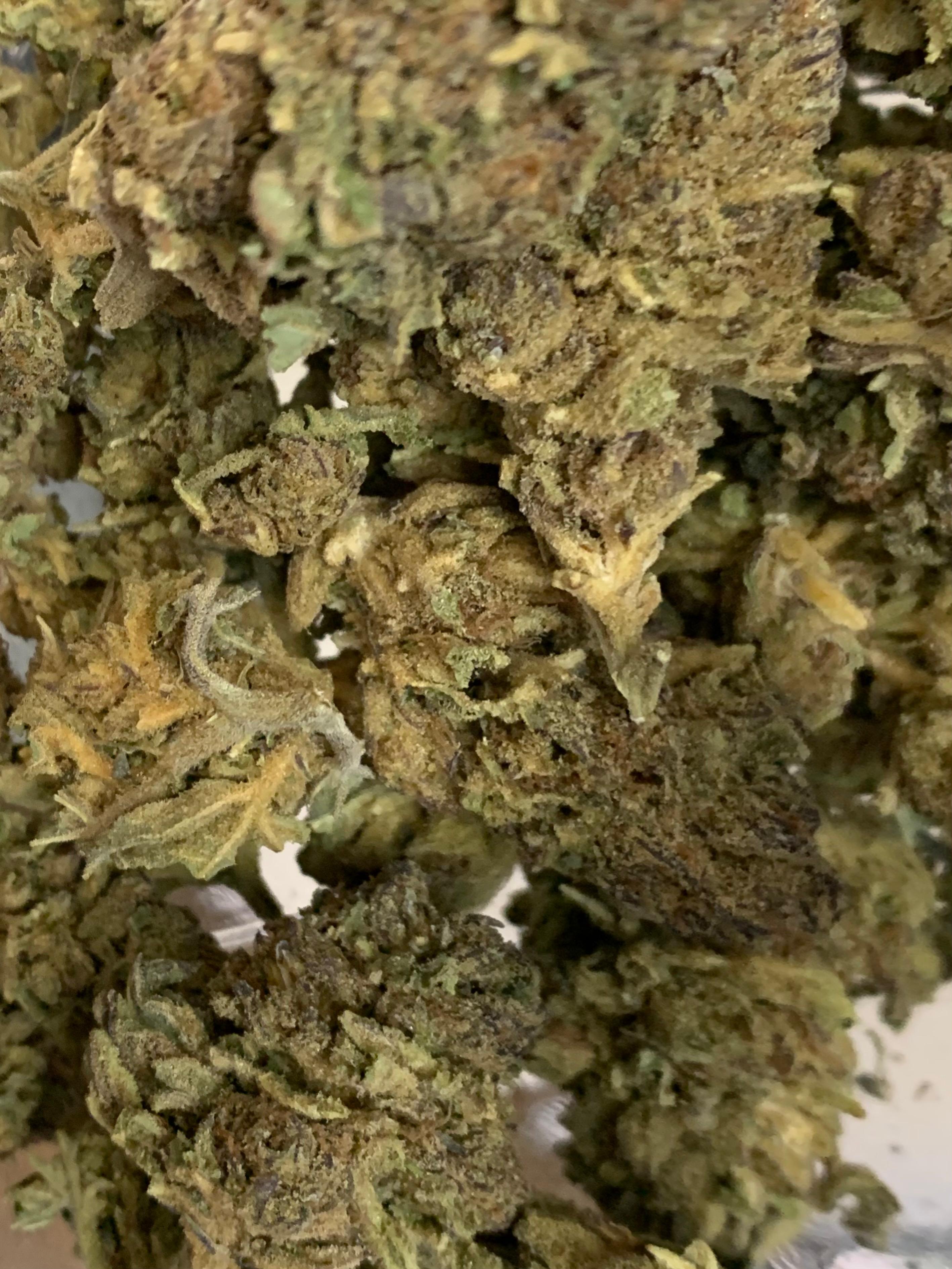 Sunday Punch — Hybrid | Indoor