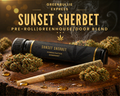Sunset Sherbet — Pre-Roll | Greendoor/House Blend