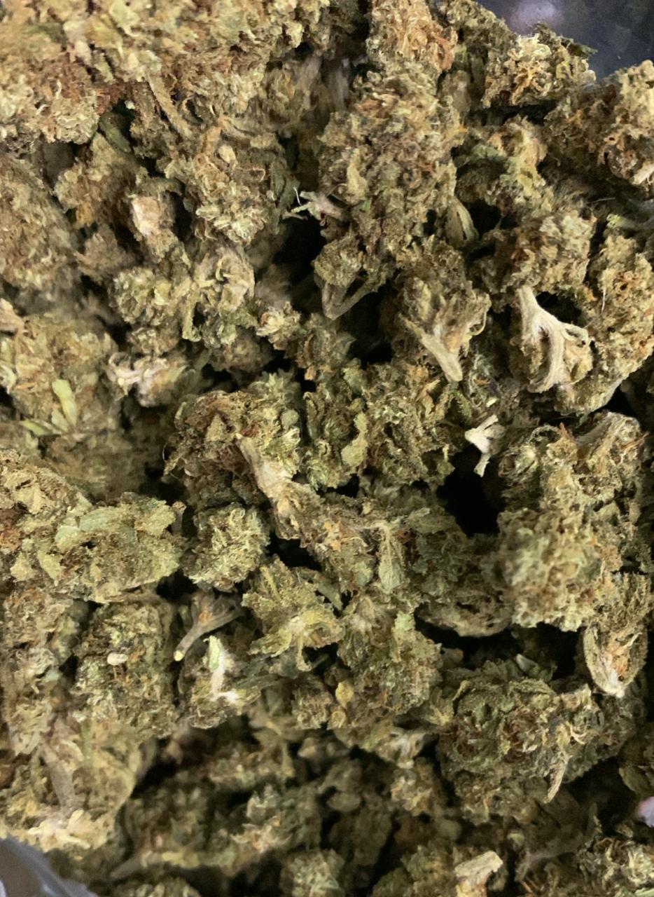 Super Cheese — Hybrid | Greendoor/House Blend