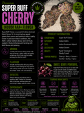 Super Buff Cherry | Premium Indoor AAA+ Flower