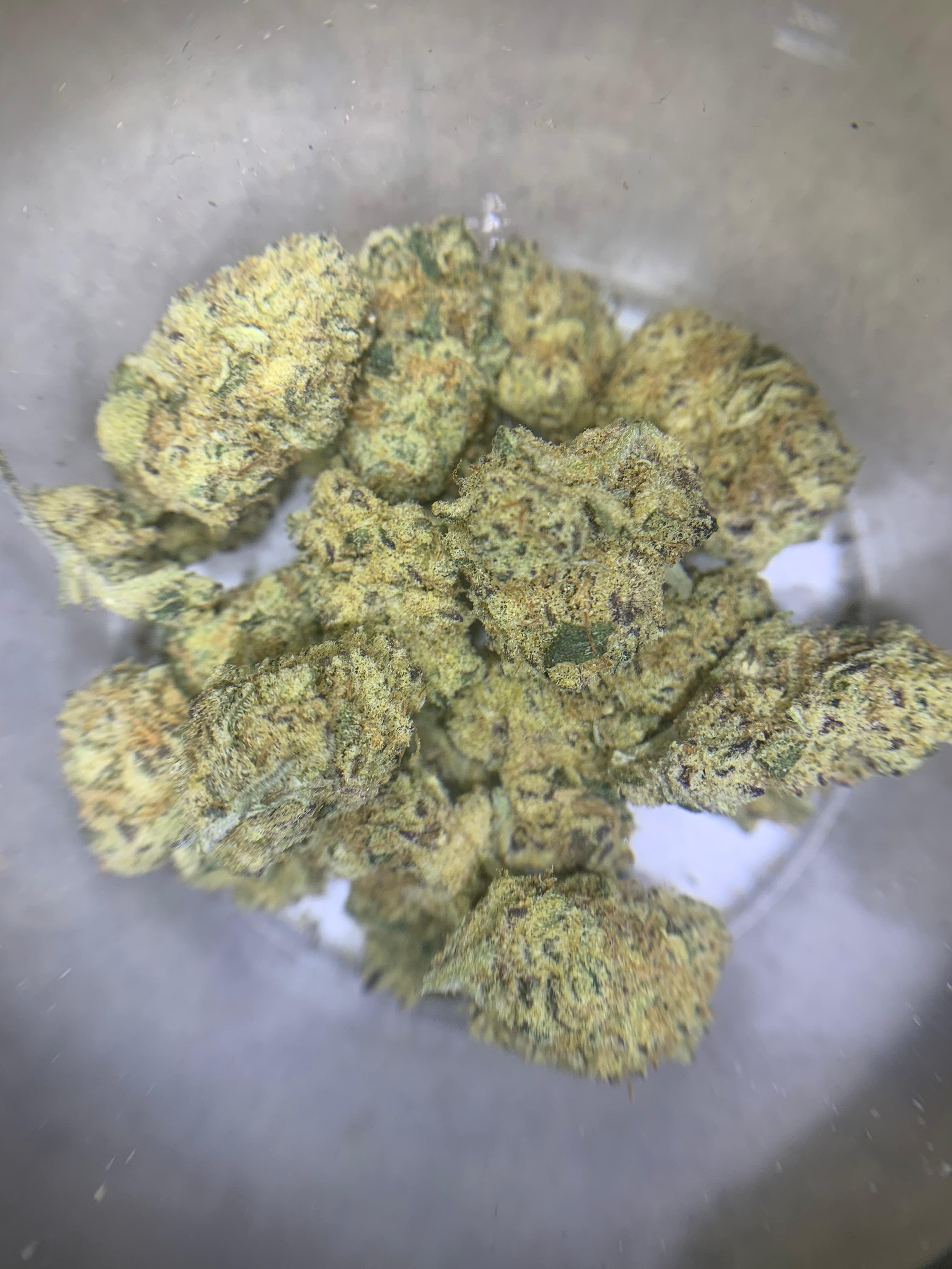 Vin Diesel Pops — Hybrid | Indoor AAA