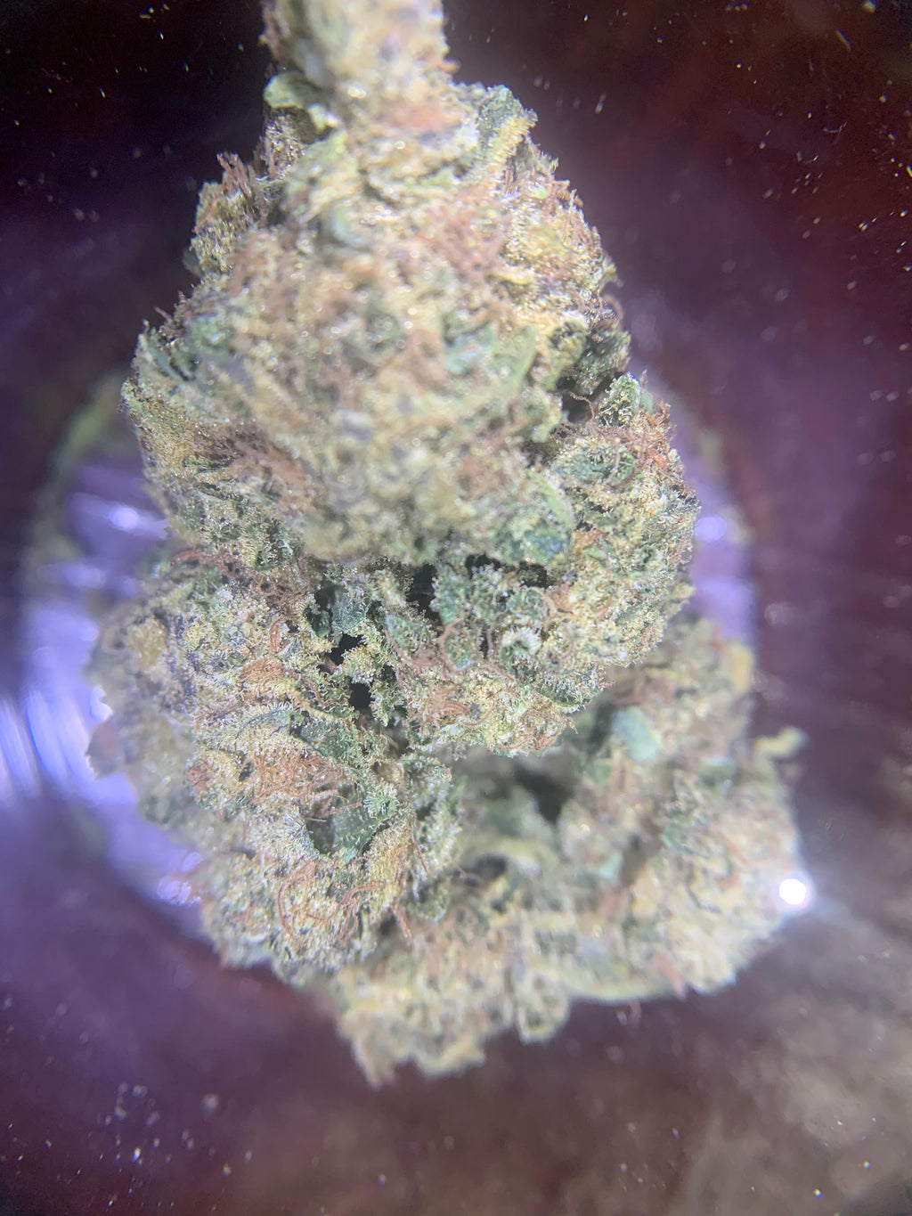 Wedding Crusher (GBO AA+) Hybrid/Indica