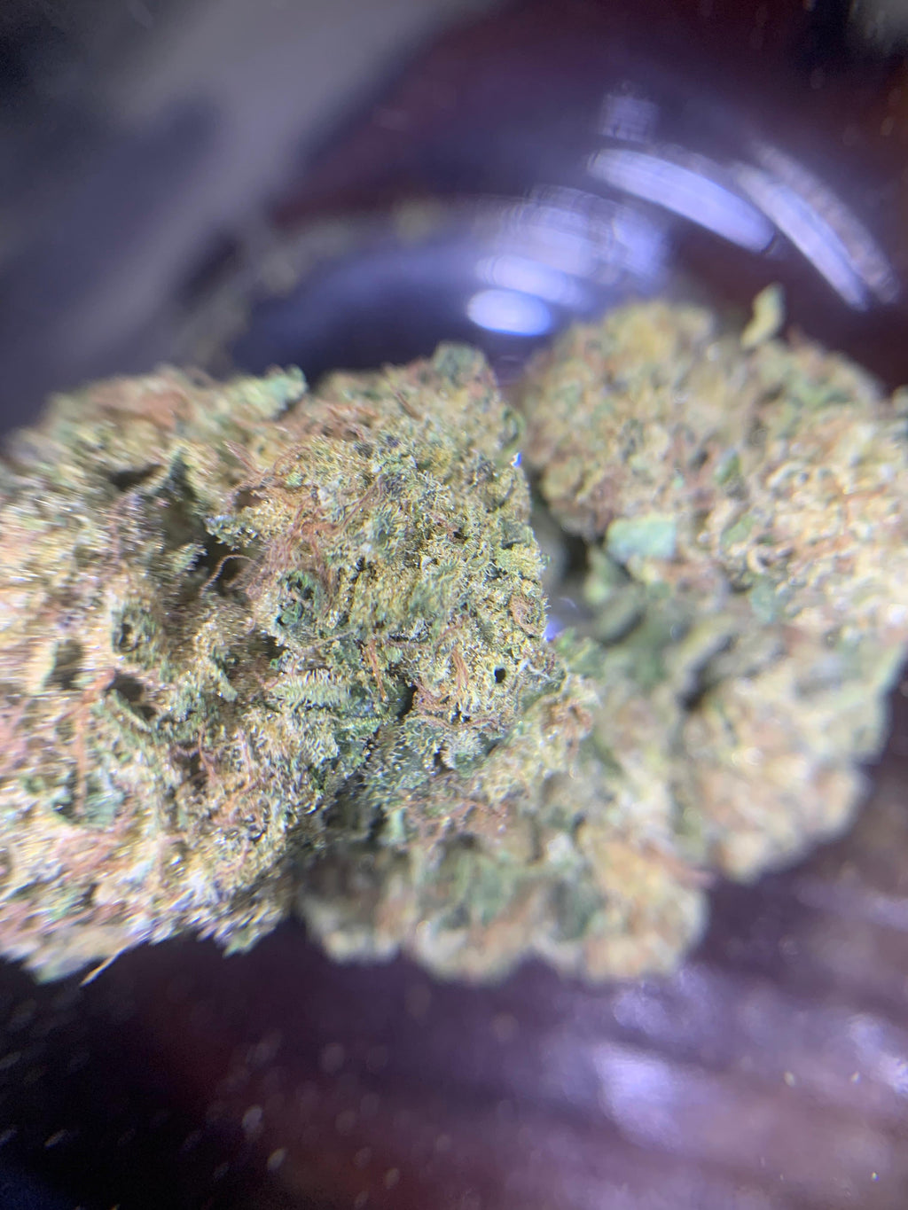 Wedding Crusher (GBO AA+) Hybrid/Indica