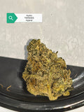 Twinkies — Hybrid | Hydroponic