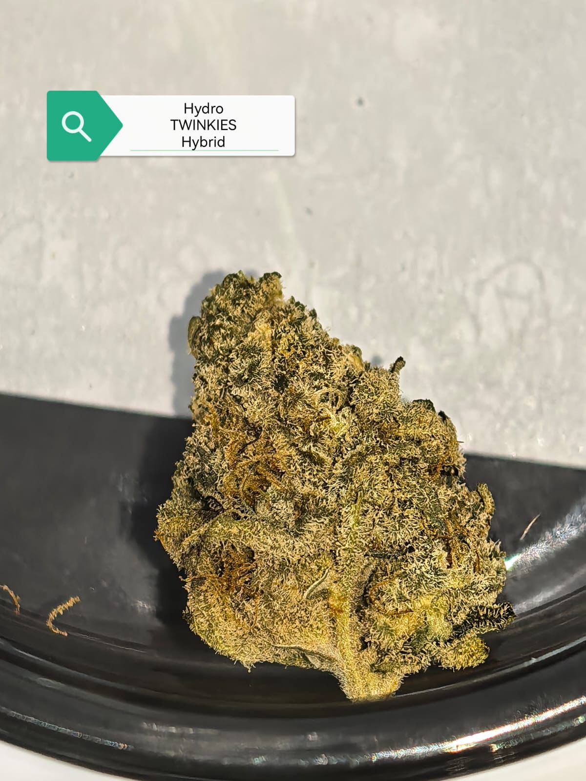 Twinkies — Hybrid | Hydroponic