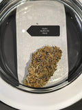 Alien OG — Hybrid | Hydroponic