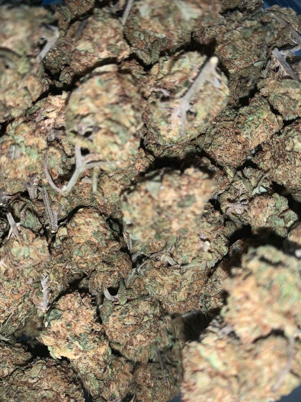 95 Gas — Hybrid | Greendoor House A+ Blend