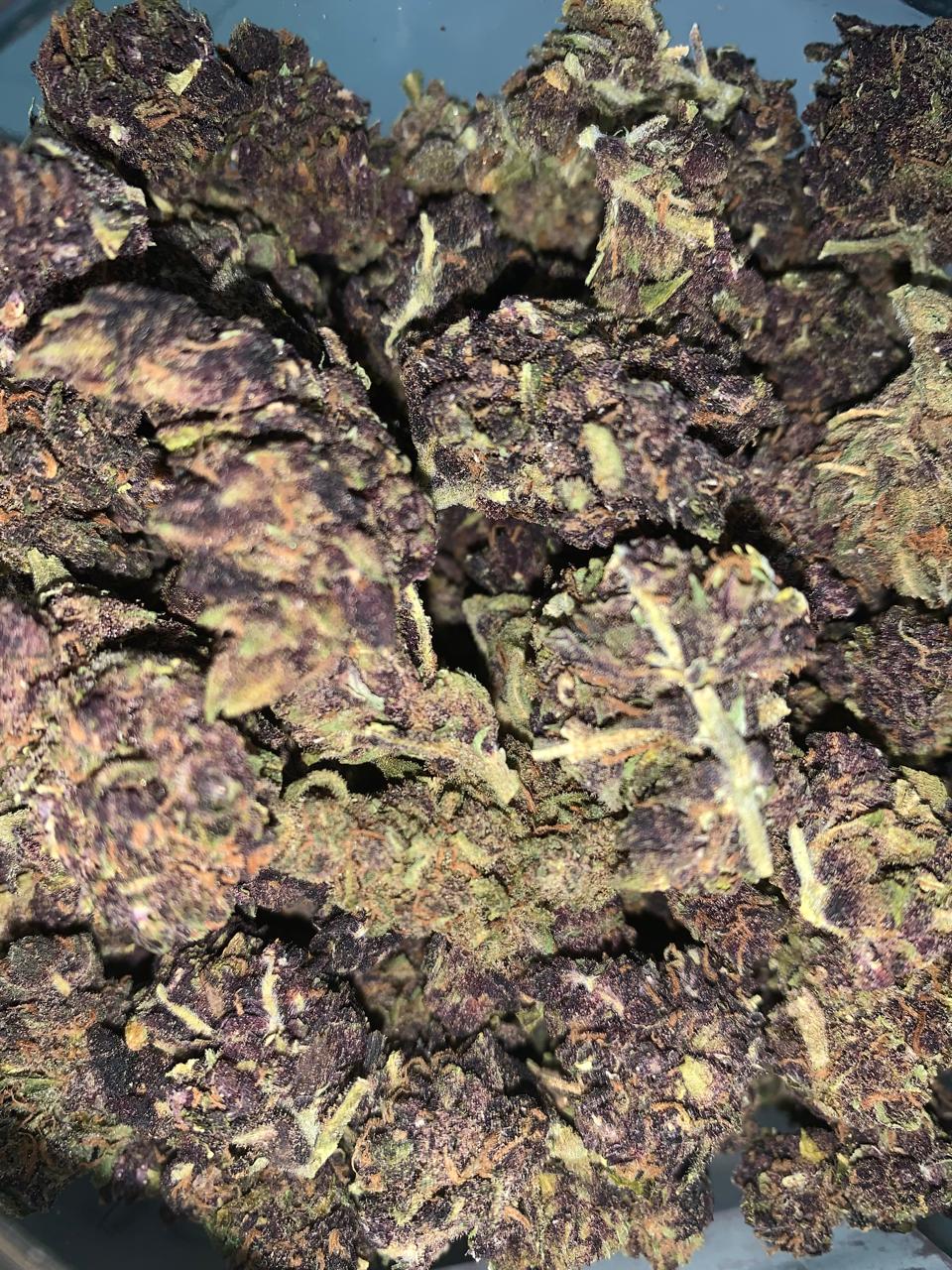 Top Cheese — Hybrid | Greendoor/House A+ Blend