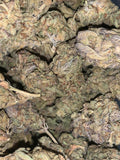 Florida Gas — Hybrid | Greendoor House A+ Blend