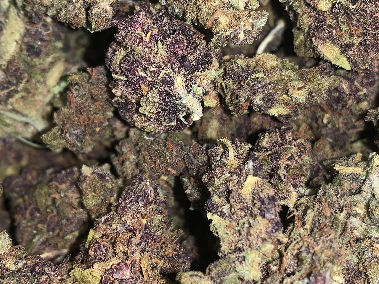Candy Cane A+ (Greendoor Hybrid)