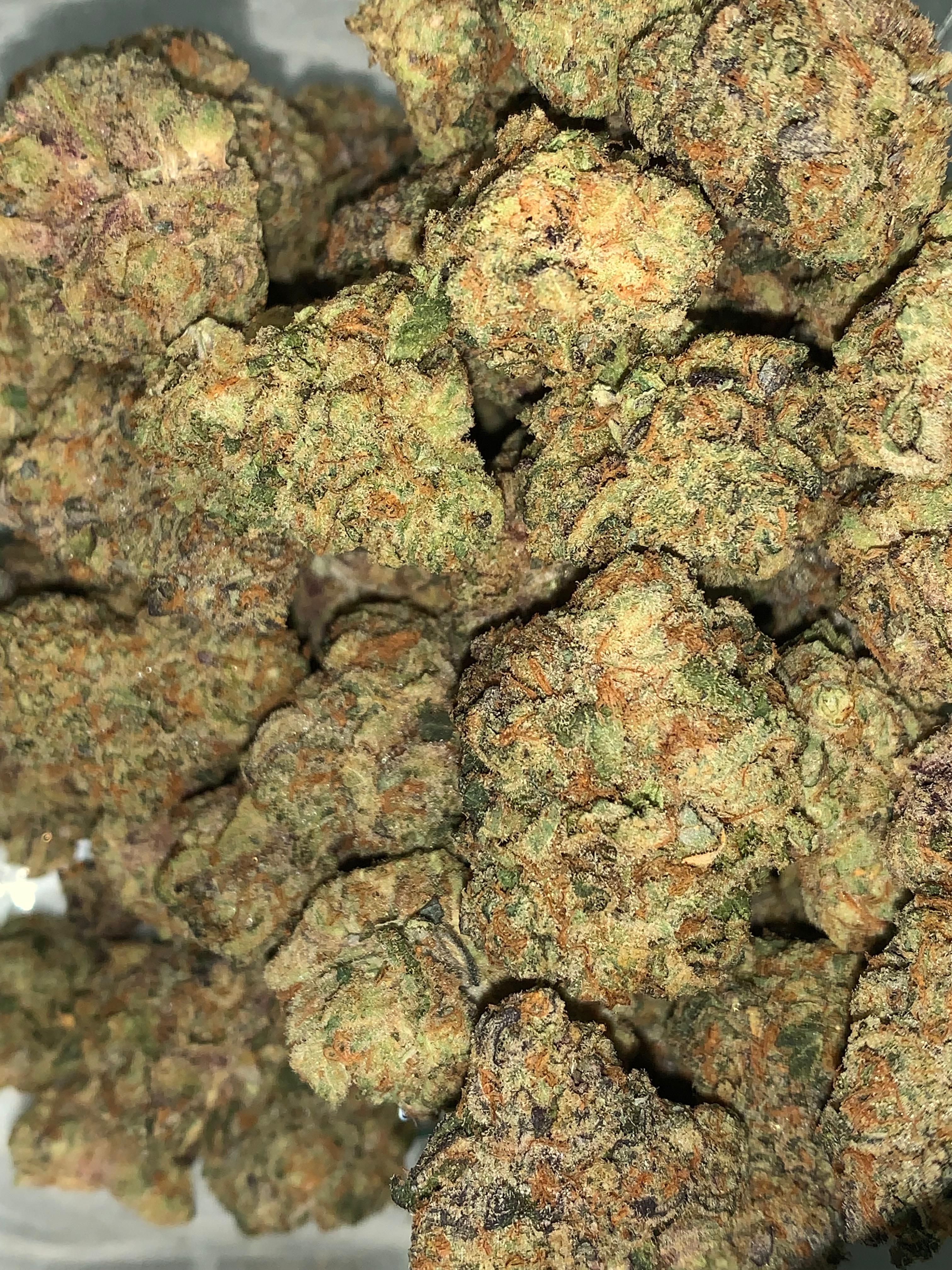 Slurricane — Hybrid | Indoor (A4) AAAA+