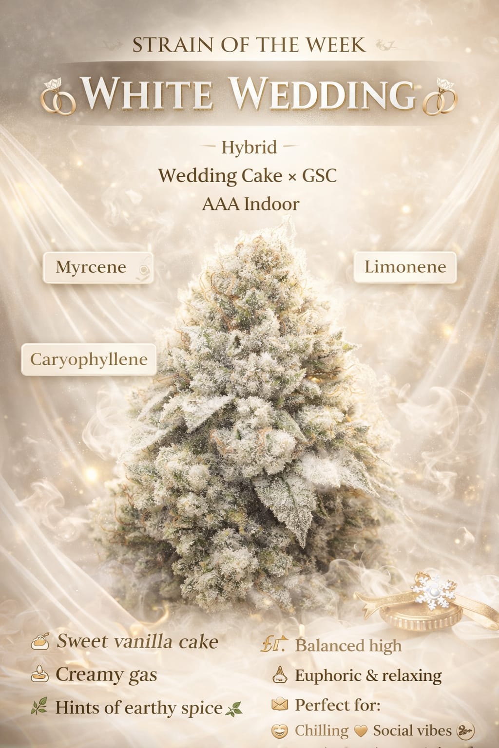 White Wedding (Greendoor + Hybrid – Sativa leaning)