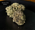 Planet of the Grapes Pops (Indica-dominant Hybrid)